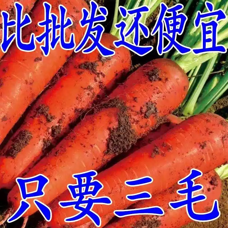 O1CN01PPIHzD1wVrgWfmGU8_!!2212041466314.jpg_q50.jpg_.jpg