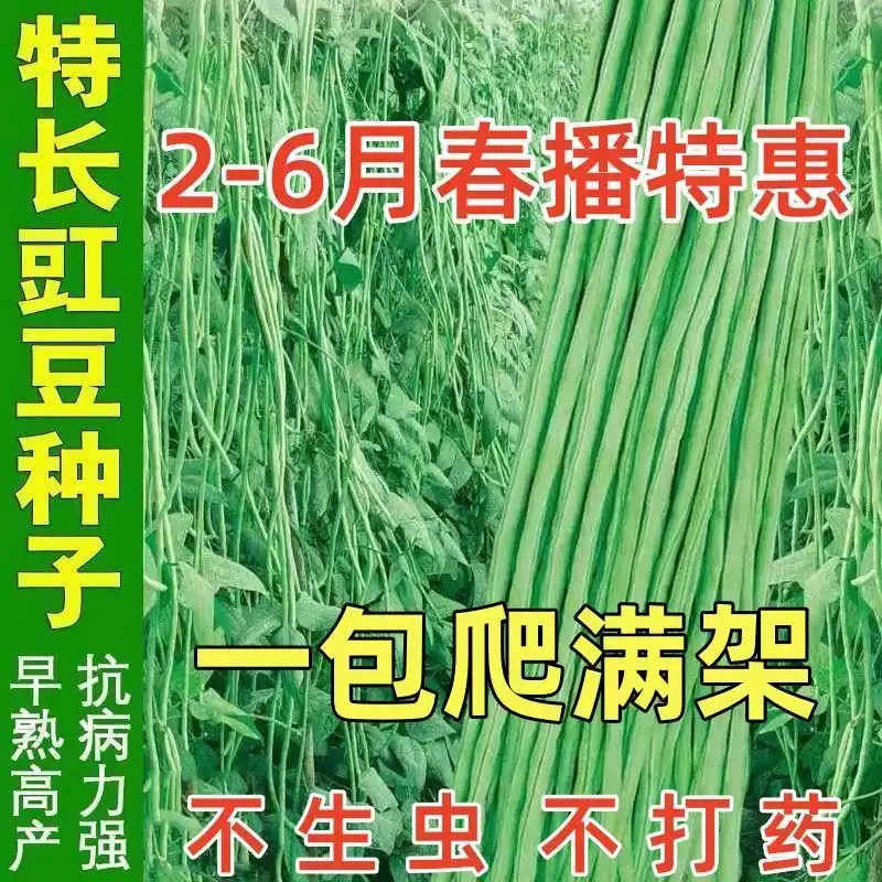 O1CN01max1vf1LyarfrEMag_!!2651951368.jpg_q50.jpg_.jpg